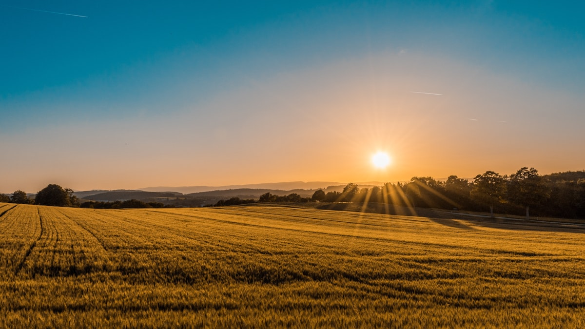 Musterhaus Sonnenschein Aussicht
